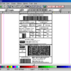 Anylabel Barcode Printing Software
